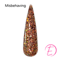 Misbehaving