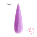 Tulip