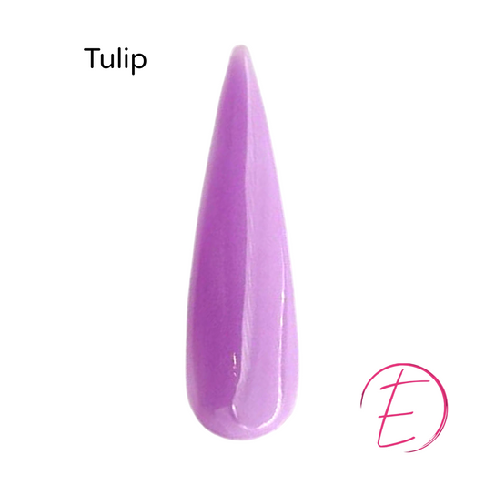 Tulip