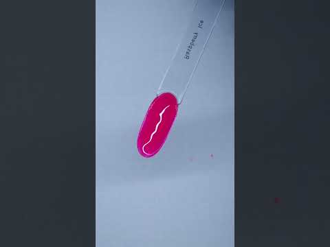 Raspberry Ice