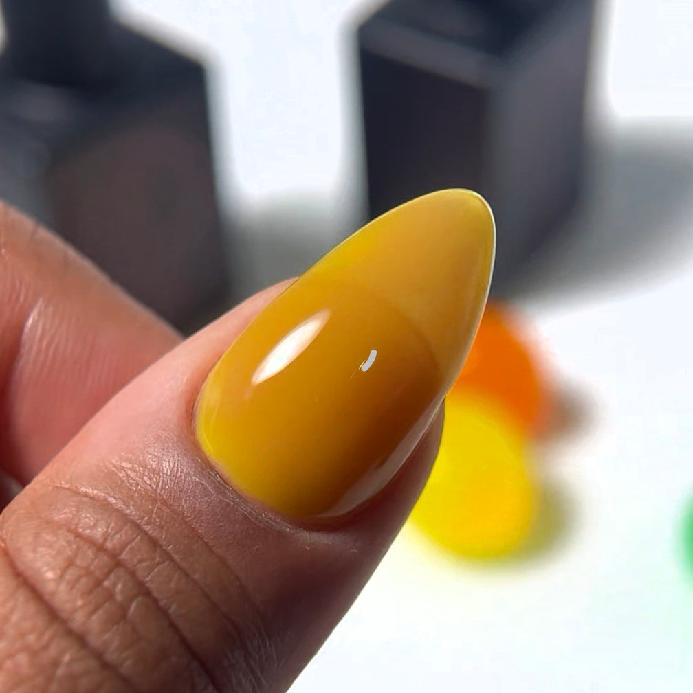 The Jelly Gel Collection