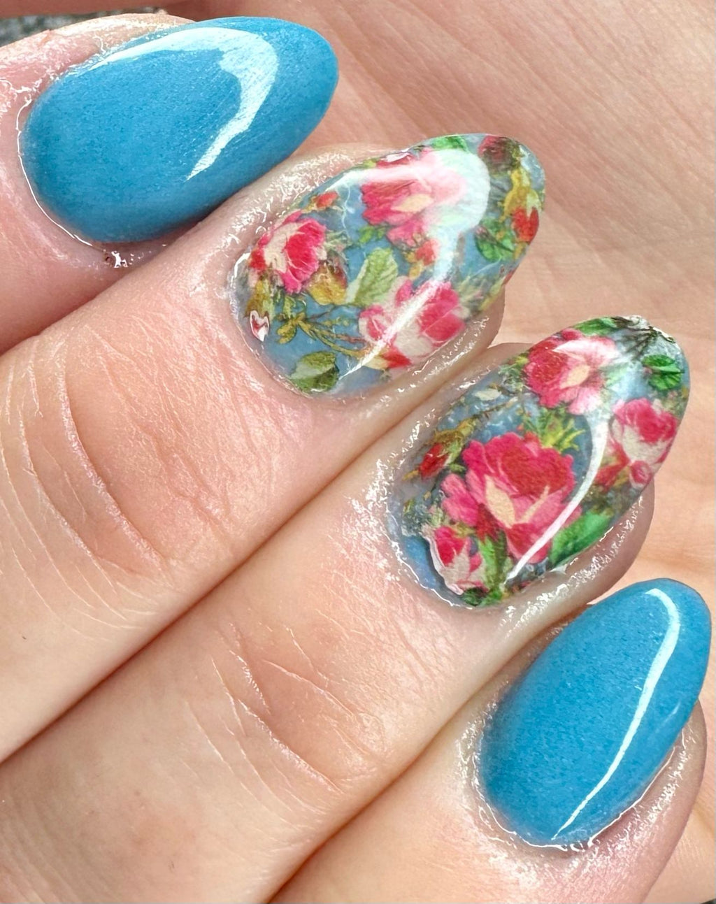 Dutch Blue