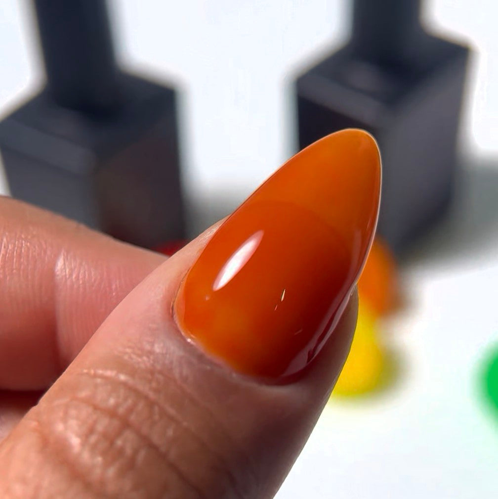 The Jelly Gel Collection