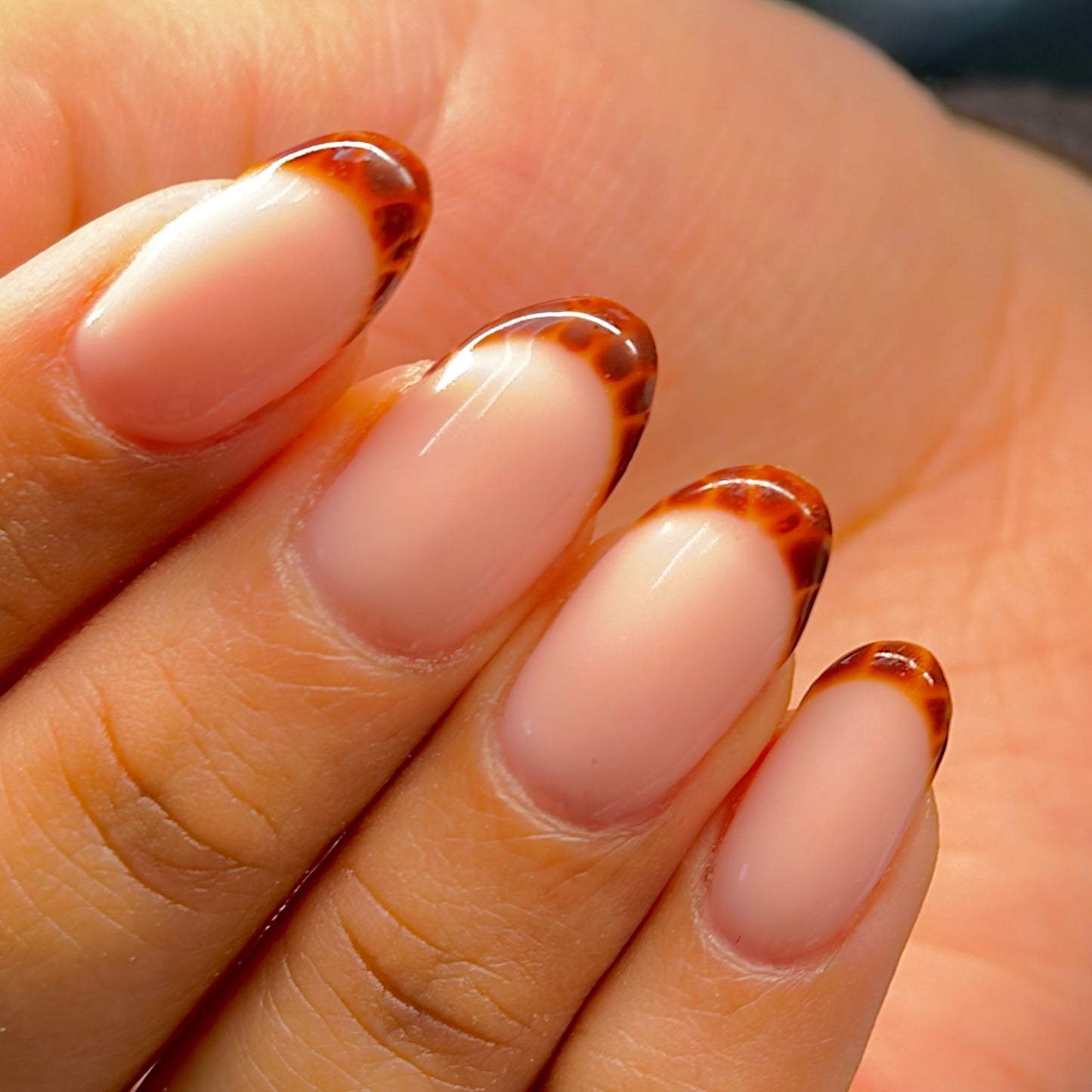 Jelly brown Gel Polish 15ml
