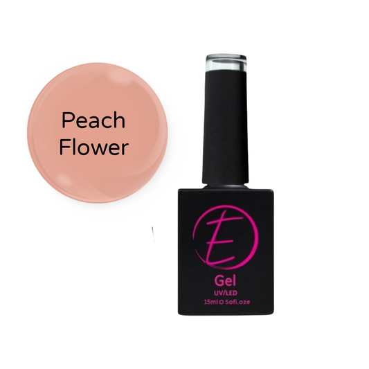 Builder Gel Starter Kit