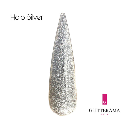 Holo Silver