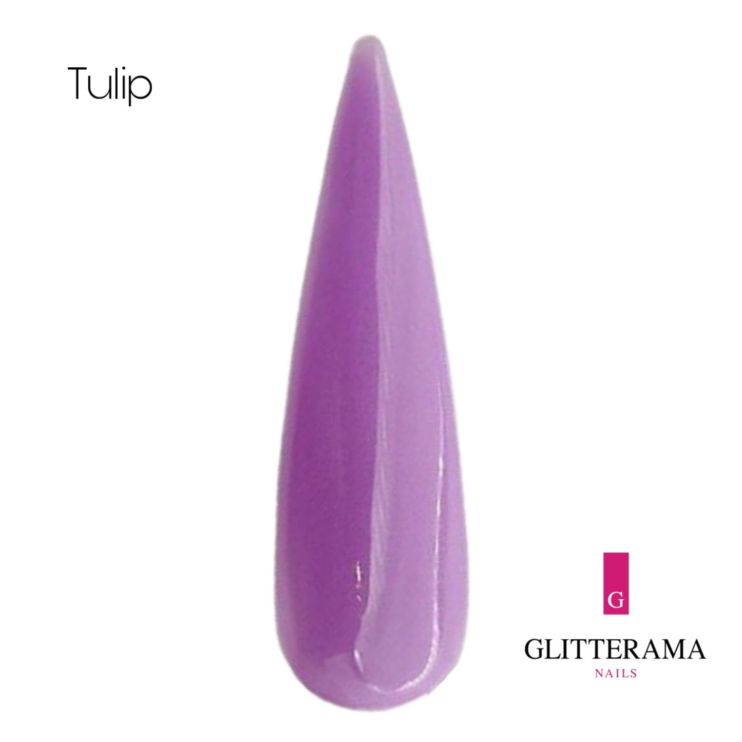 Tulip